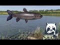 Русская рыбалка 4 | РР4 Стрим |  Russian fishing 4 |  03.06.21 |