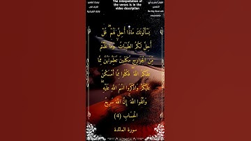 يسألونك ماذا أحل لهم قل أحل لكم الطيبات وما علمتم من الجوارح #سورة_المائدة #بدر_التركي #أحمد_طالب