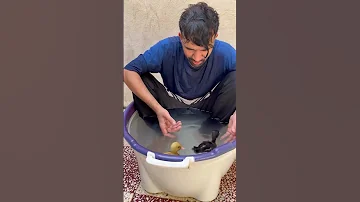 خندارترین طنز خندانندهشو خنده شقایق فان کلیک Funny جبران کنم یا ن 