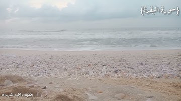 شَهۡرُ رَمَضَانَ ٱلَّذِيٓ أُنزِلَ فِيهِ ٱلۡقُرۡءَانُ؛ ماتيسر من سوره البقره بصوت احمد شهده.