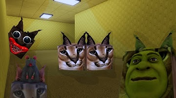 Find The Floppa Morphs - BACKROOM MAP | ROBLOX