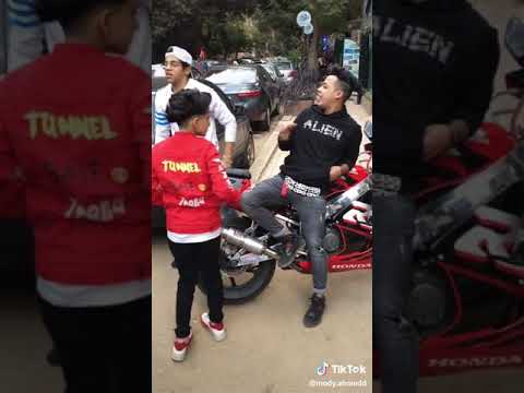 اوع تفكر انك جامد انت عبيط طب خود سامر المدني