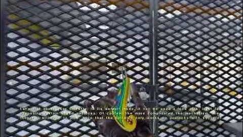 No One Lives Forever - The Assignment - Scene 3 (2/2)