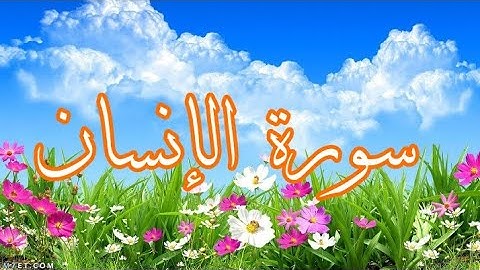 سورة الإنسان بصوت هشام الهراز🌹