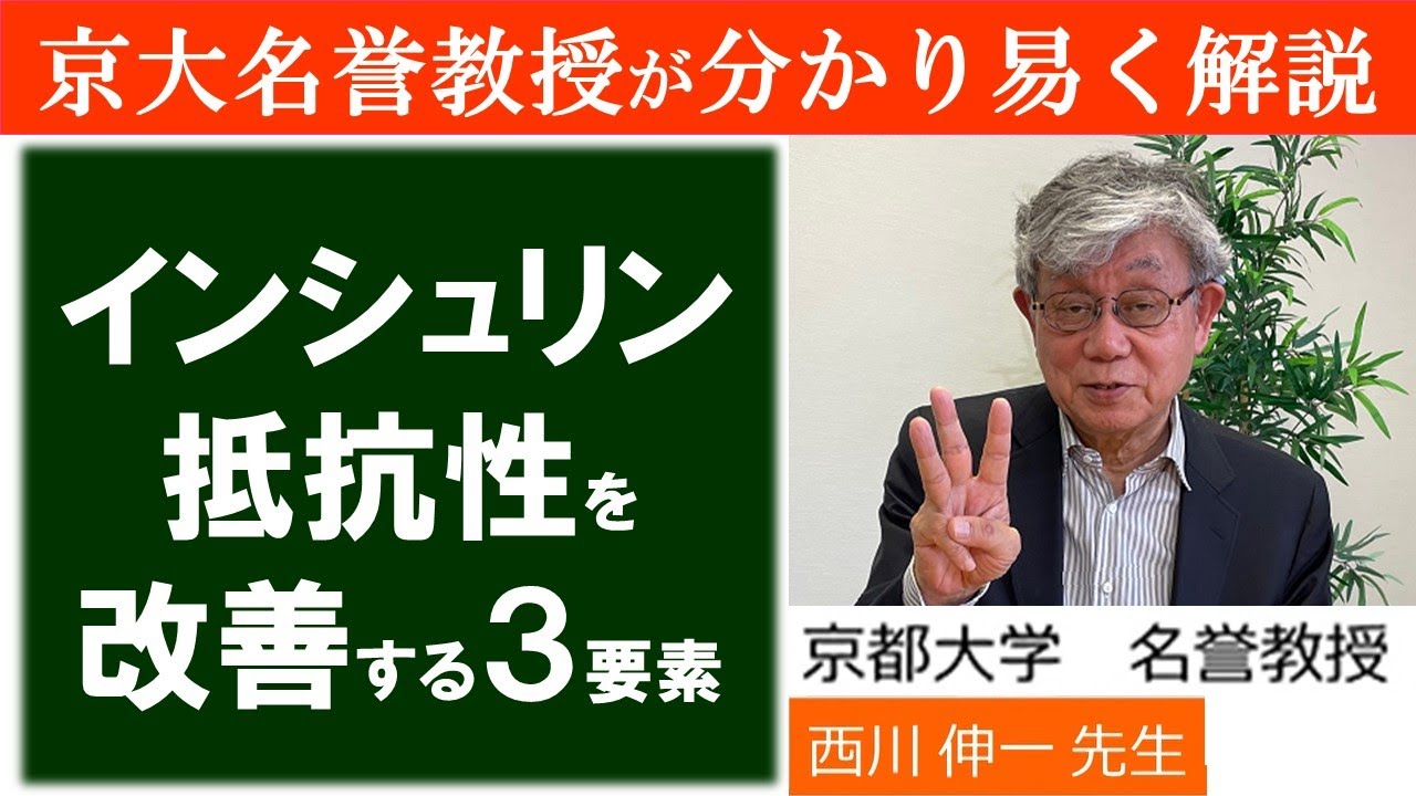 【京都大学名誉教授】がわかり易く教える。インシュリン抵抗性を改善するには！ YouTube