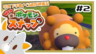 【Ｎｅｗポケモンスナップ】写真下手くそぬいぐるみが行くポケモンスナップ！＃2