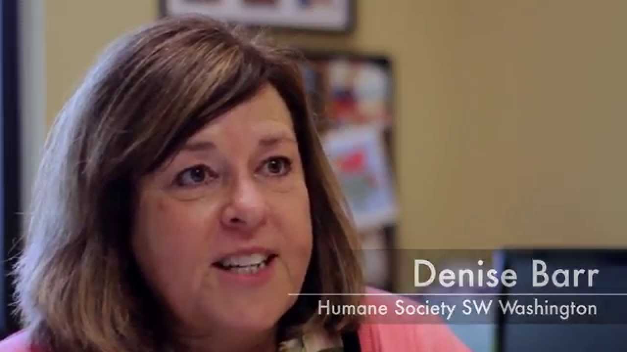 A Day of Giving: Give More 24