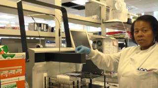 Testing antinuclear antibodies (ANA) – Francisca Hodge and Hazel Hinds