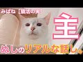 みぱねサブチャン［猫活の実］（主）ディノ食後まったり・クロ猫パンチ・猫活妨害・ぬしの現実。