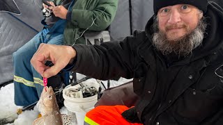 Ice fishing , we had so much fun #icefishing #ice fishing  # pickerel #bigfish