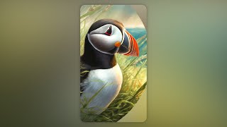 Puffy Puffins Everywhere | Vertical Video