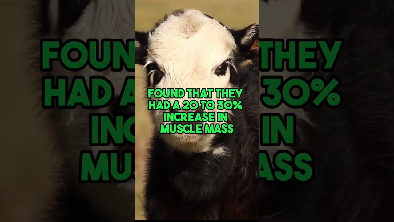 The Real Life Super Soldier Serum?