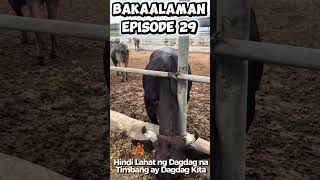 Bakaalaman Episode 29- Hindi Lahat ng Dagdag na Timbang ay Dagdag Kita.