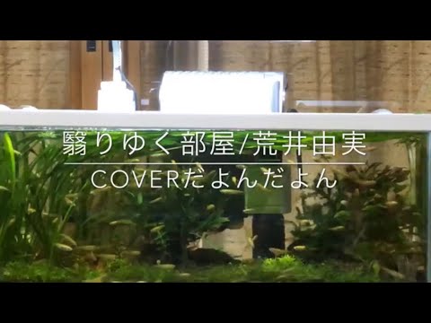 翳りゆく部屋/荒井由実coverだよん🎼.•*¨*•.•*¨*•.¸¸🎶