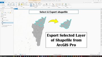 #25: Export Selected Layer of Shapefile from ArcGIS Pro