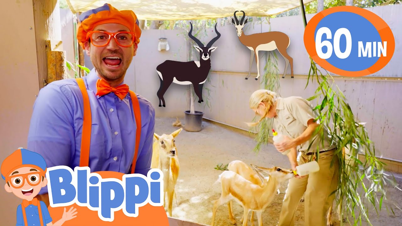 ⁣Blippi Loves Zoo Animals! | 1 Hour of Blippi Animals | Educational Videos for Kids