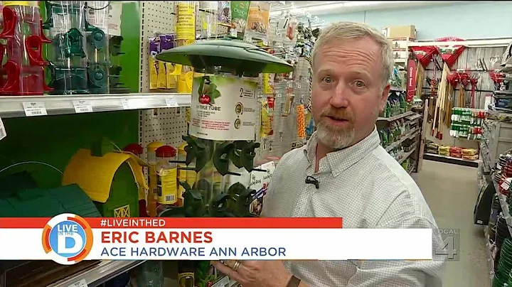 Live in the D: Holiday gifts for bird lovers