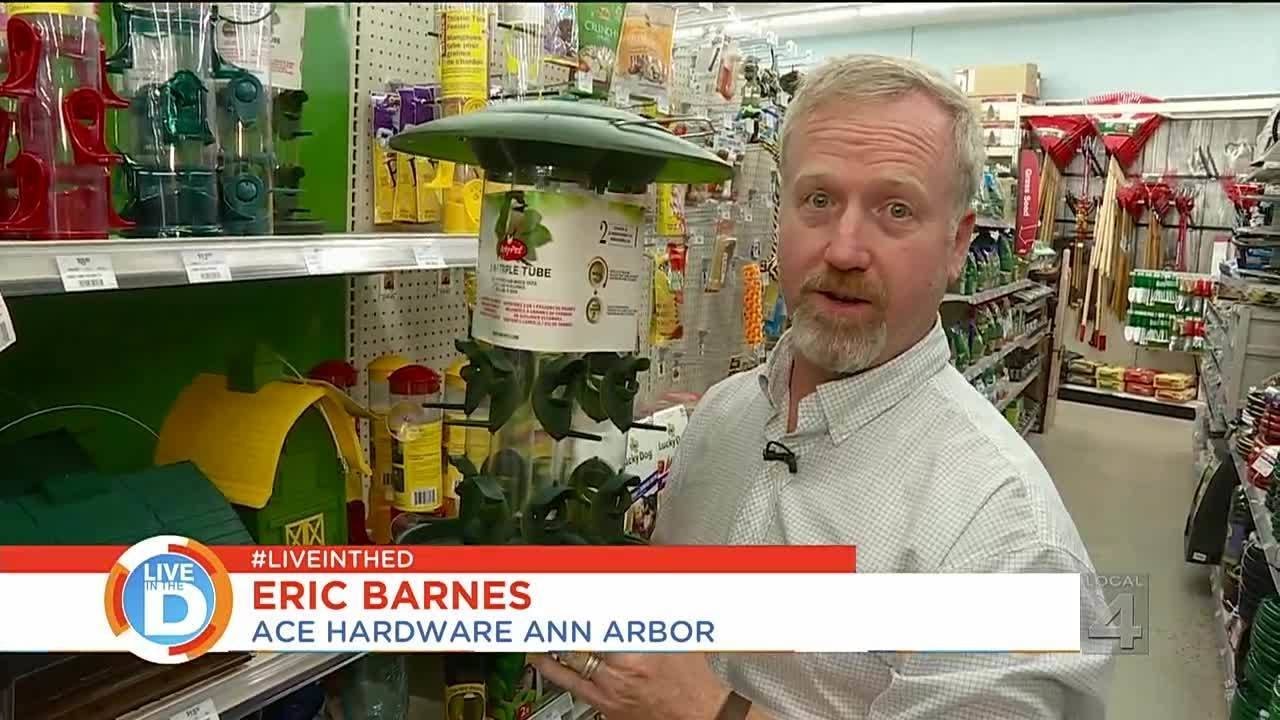 Live in the D: Holiday gifts for bird lovers