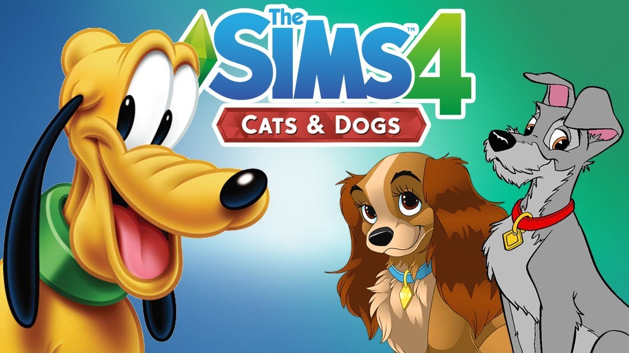 Videos Of The Sims Cats And Dogs Videos Of The Sims Cats And Dogs