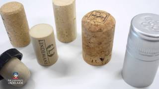 World of Wine: Blending, bottling and ageing