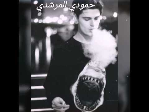 مايعرف تدابيره هلو انزلو علوصف تره مهم ايفوتكم