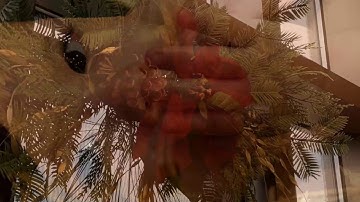 January 4 Devotion Music by Mike Solberg