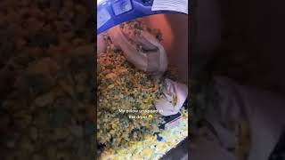 Download Lagu Unzipped Pillow tiktok sophiazamariya MP3