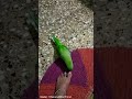 #funny #talkingparot #talkinganimal #nonstoptalkingparrot #talkingbird #parrottalking #birds