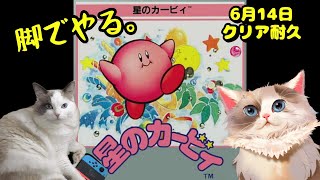 【#星のカービィ】脚でやる。クリア耐久【新猫Vtuber】