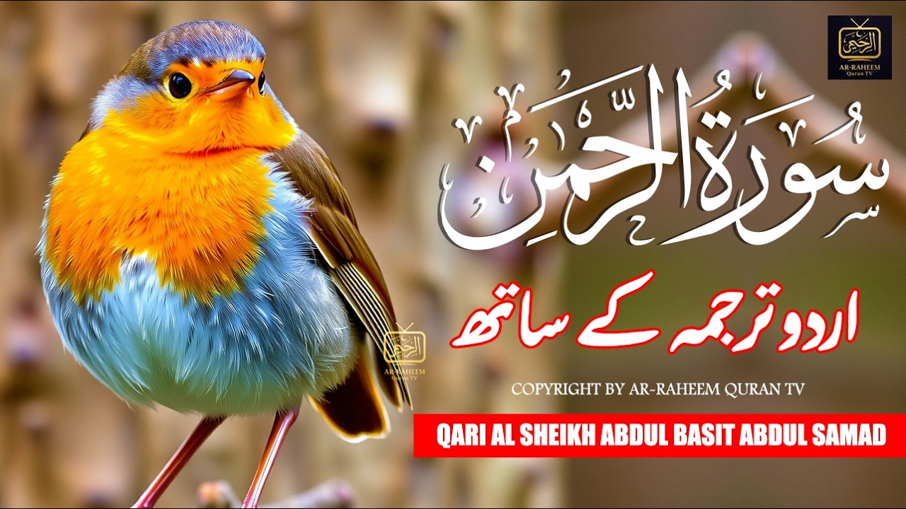 Surah Rahman With Urdu Translation By Qari Abdul Basit I Urdu And Hindi Tarjuma | Part 5