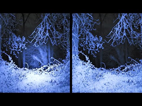 Surefire vs Inforce vs Olight - Vampire Illuminator Comparison
