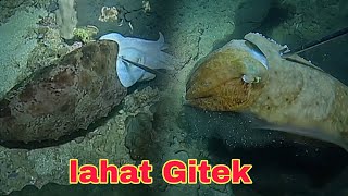 ep625 lahat ng kulambutan gitek night spearfishing Philippines 