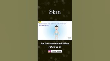 Skin | Human Skin | Science
