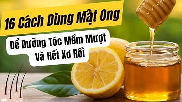 16 Cách Dưỡng Tóc Từ Mật Ong, Giúp Tóc Mềm Mượt Và Hết Xơ Rối
