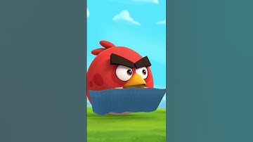 Can Angry Birds Even Build?! 😅