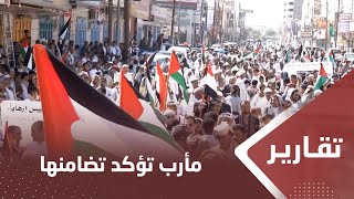 مظاهرة في مأرب تؤكد تضامنها مع القضية الفلسطـ،,،ـينية