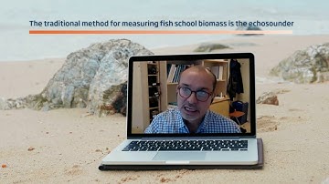 Hidden Gems - Estimating individual fish school biomass using digital omnidirectional sonars