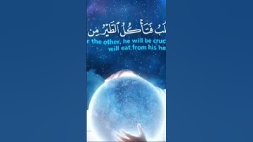 #القرآن_الكريم سورة يوسف الآية (٤٠-٤٦) بصوت القارئ الشيخ والاستاذ مروان بن محمد الحبسي تفاعل مع مقطع