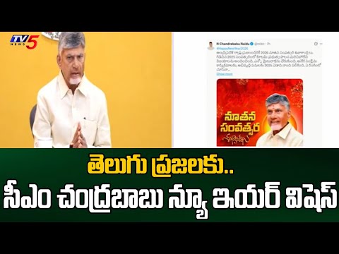 AP CM Chandrababu Naidu New Year Wishes To Telugu State People | TV5 News - TV5NEWS