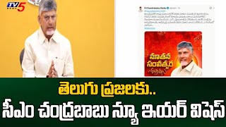 AP CM Chandrababu Naidu New Year Wishes To Telugu State People | TV5 News