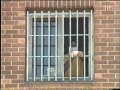 Umzug JVA Frankfurt 1 nach Weiterstadt 1997