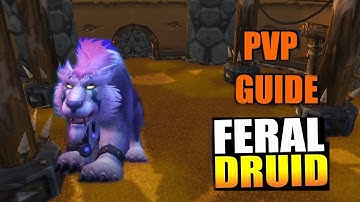WOTLK- Feral Druid PvP Guide rotation