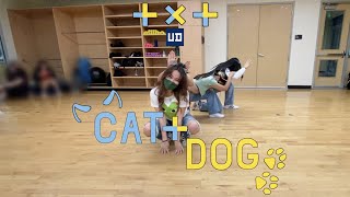 Cat & Dog - TXT | K-Pop Unit Workshop