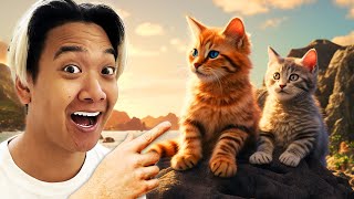 CAT ISLAND YOU MUST VISIT!🐱- Cat Island Istanbul screenshot 4