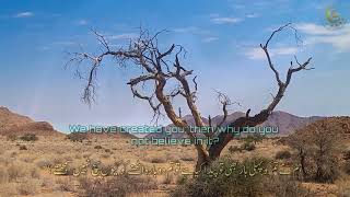 Surah Waqiah   Best Quran Recitation with Urdu English translation   Copyright free screenshot 2