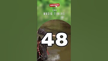 🎵⌛ 1 Minute Timer - relaxing country music for 60 seconds (part 1) #shorts