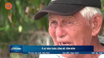 Ồ ẠT BÁN THÁO LỒNG BÈ TÔM HÙM | VTV5