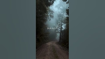 ﴿ألا إن لله ما في السماوات والأرض﴾سورة يونس || تلاوة هادئة بصوت الشيخ ياسر الدوسري ارح سمعك