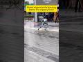 Robot&rsquo;s dance fail: Slippery floor&rsquo;s fault #robot #robotics #robotexplore #funny