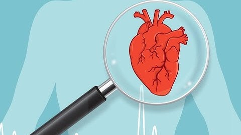 Heart Disease Classification System | Turbo Prolog Project 2022